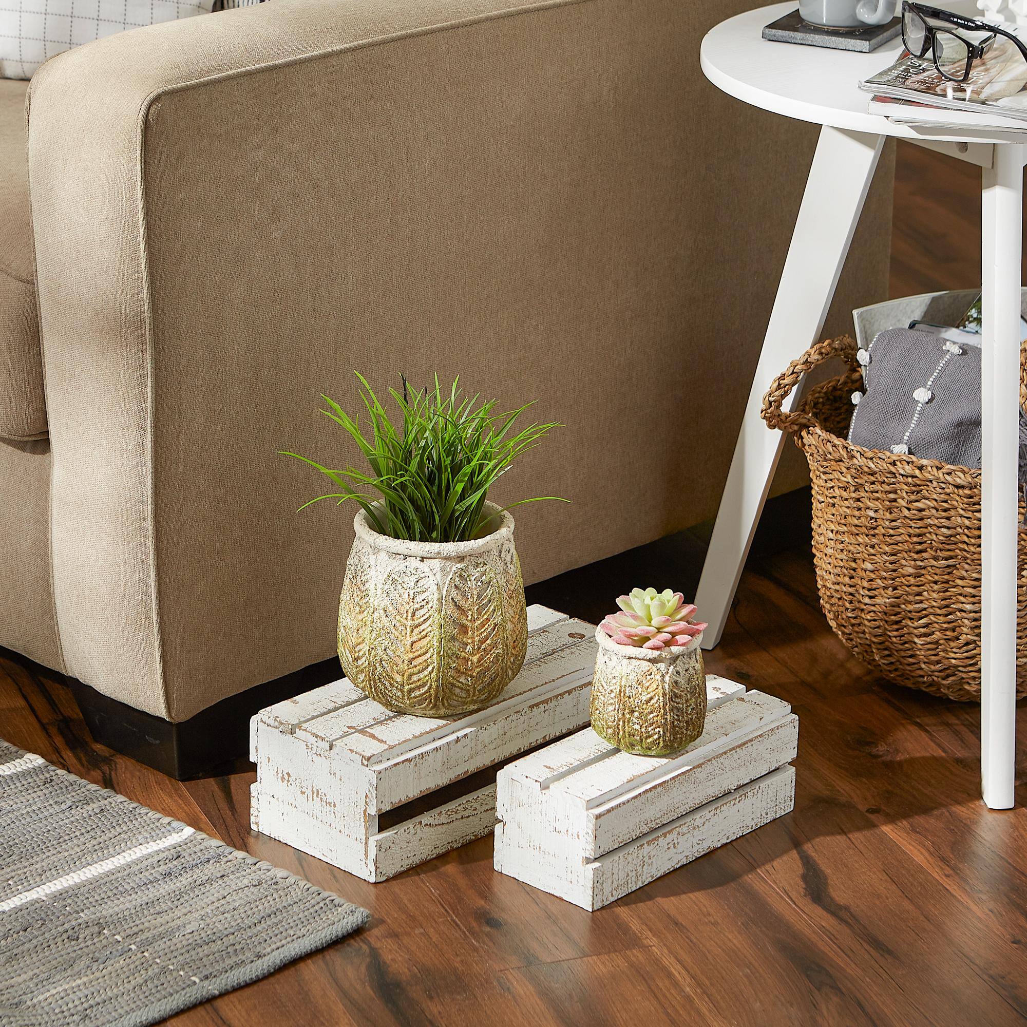 Ancient Leaf Cement Flower Pot Set